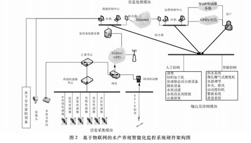 構(gòu)建綠色未來的基石 水產(chǎn)養(yǎng)殖監(jiān)測系統(tǒng)與生物質(zhì)能資源數(shù)據(jù)庫信息系統(tǒng)的核心要素