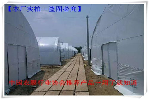 余江8絲10絲12絲白色大棚薄膜 暢銷全國(guó)