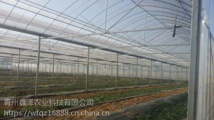 汕頭生態(tài)簡(jiǎn)易連棟薄膜溫室廠家批發(fā) 大棚薄膜與現(xiàn)代農(nóng)業(yè)的結(jié)合